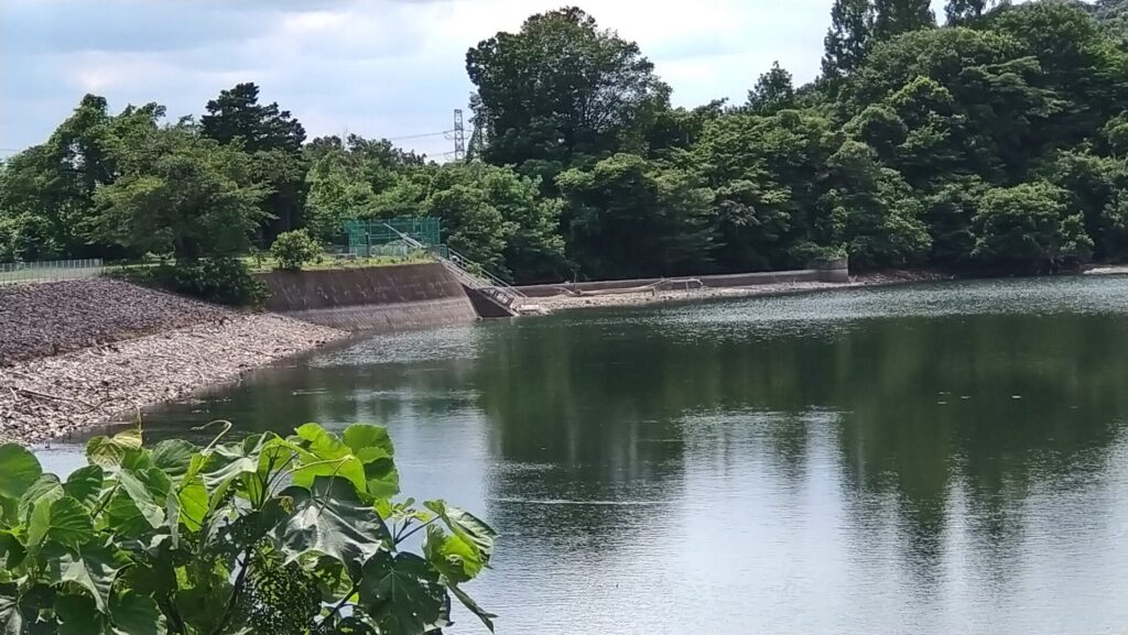 早川ダムの洪水吐
