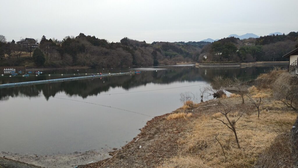 鳴沢湖の風景