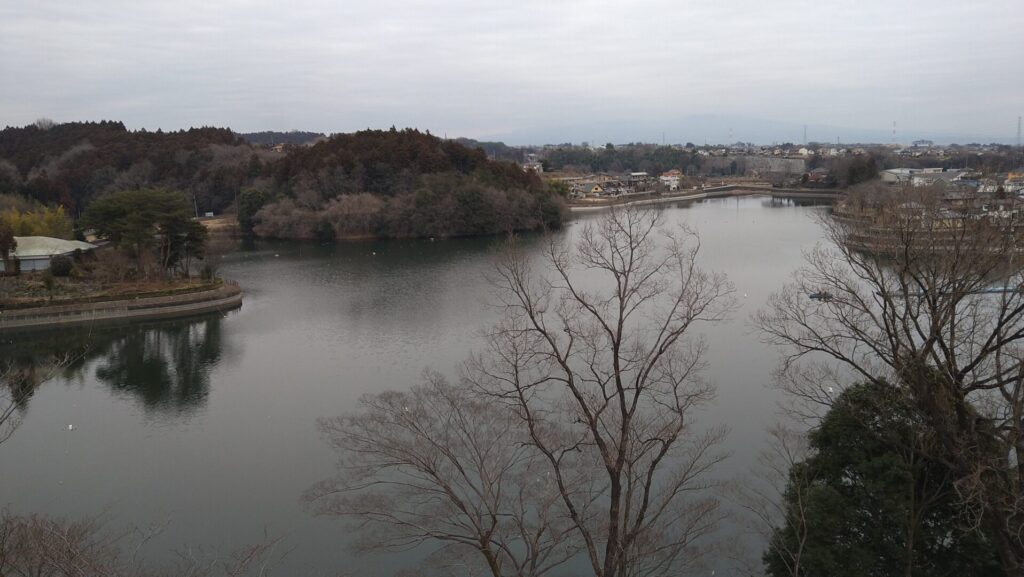鳴沢ダム展望台からの眺め
