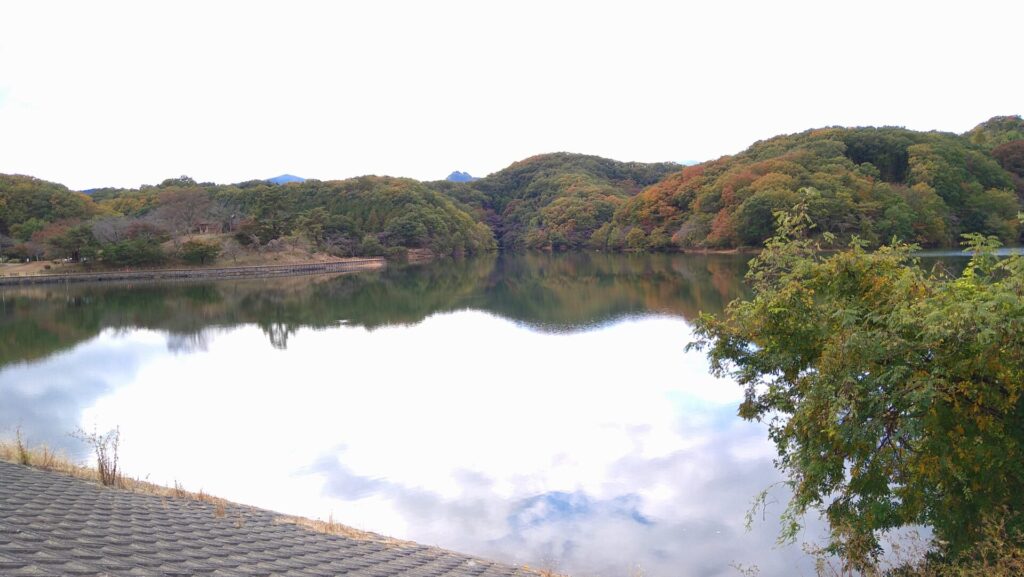 竹沼湖の風景
