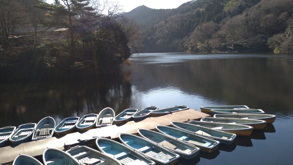 間瀬湖の風景