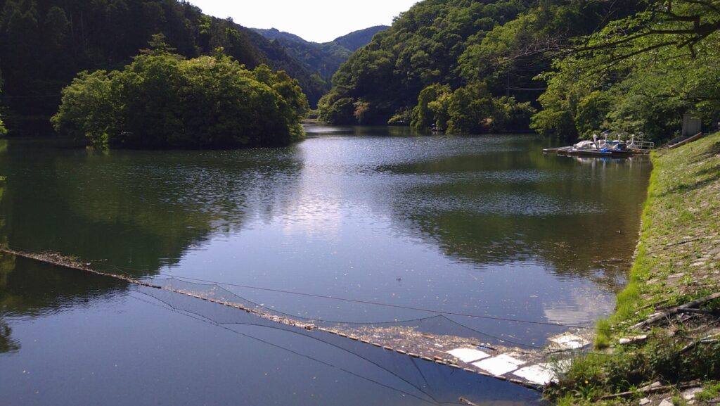 鎌北湖の風景