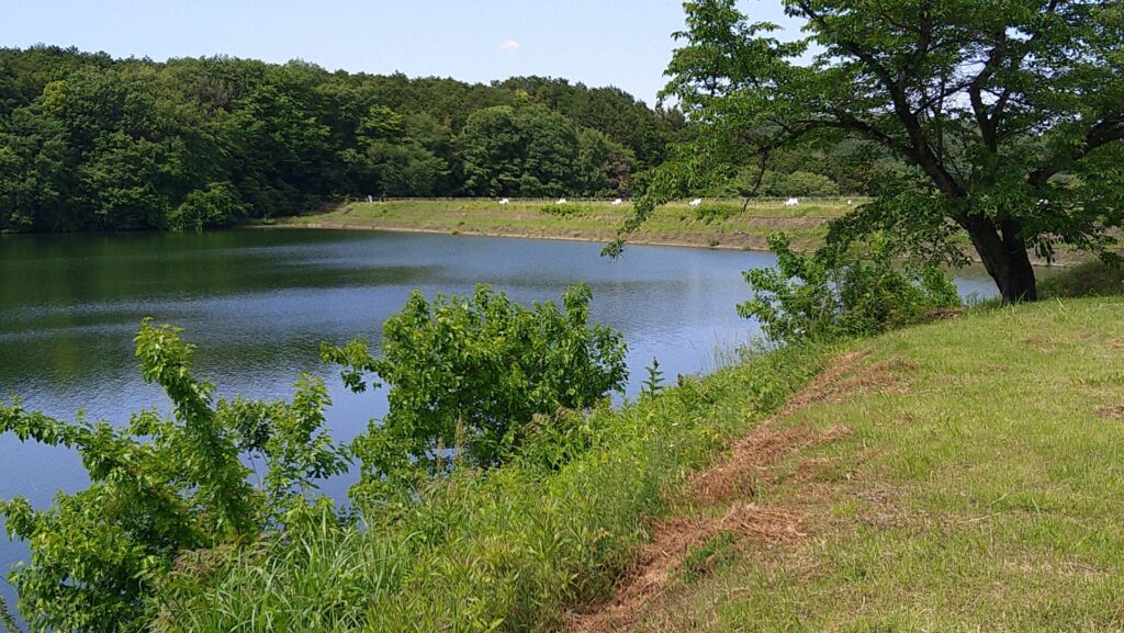 宮沢溜池の上流側