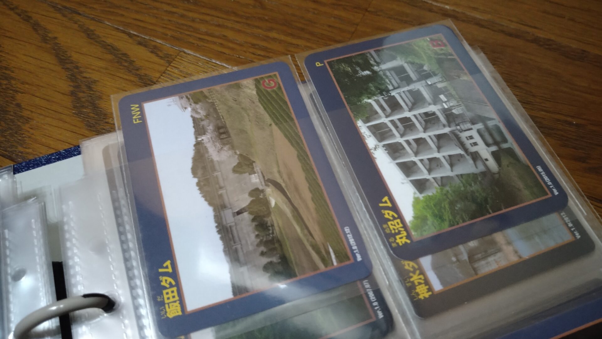 ダムカード収納