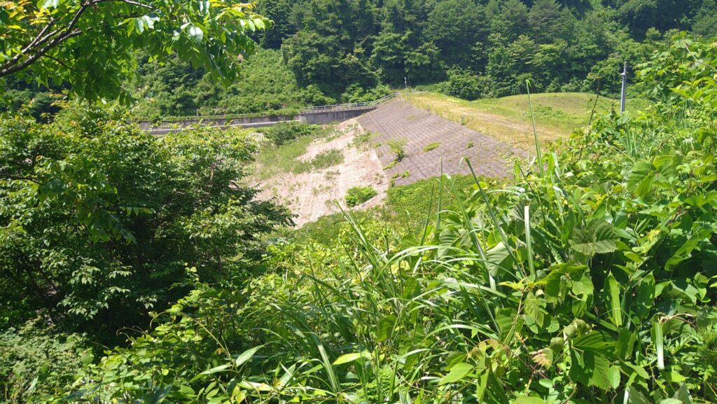 二岐ダムの上流側