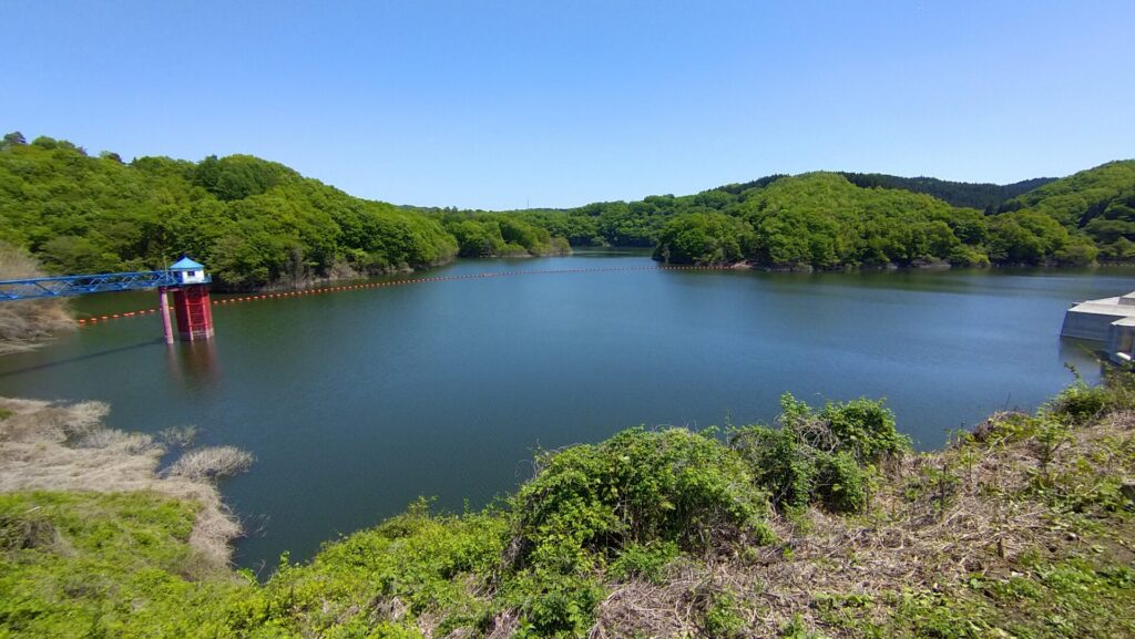 高台から見える母畑湖の風景