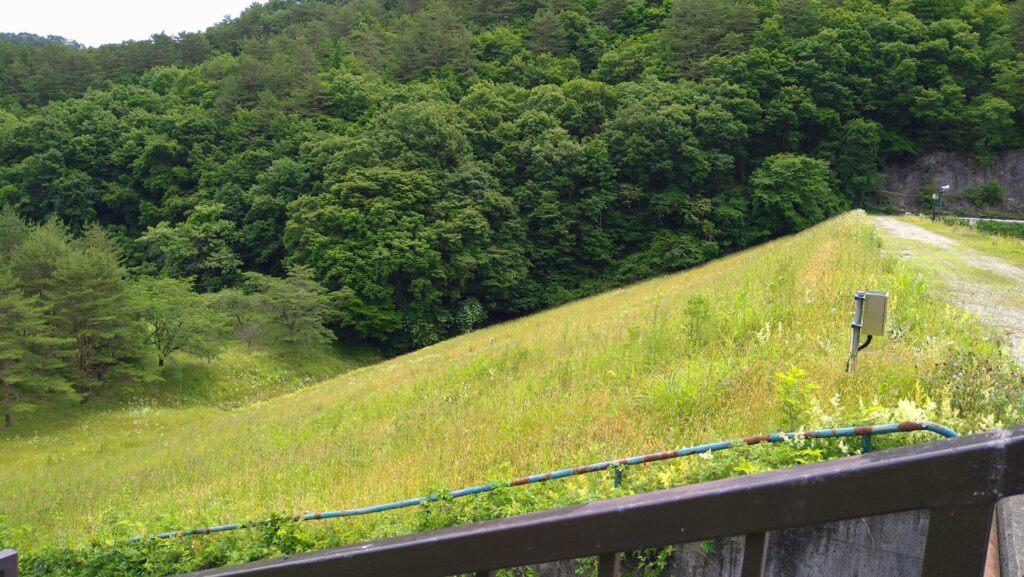 栃沢ダムの下流側