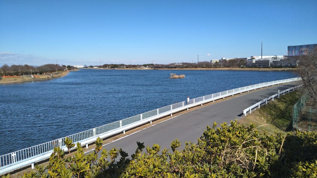 高台から見える御幸湖