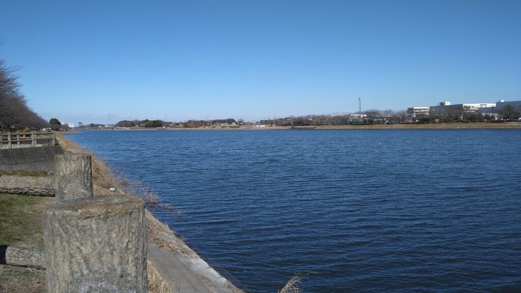 行幸湖の風景