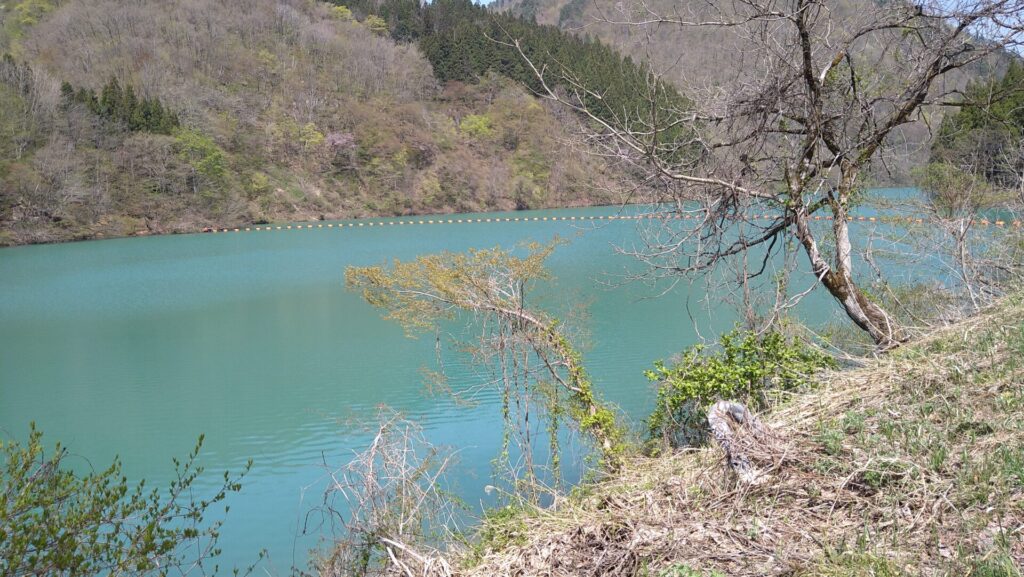 大平沼ダムのダム湖の風景