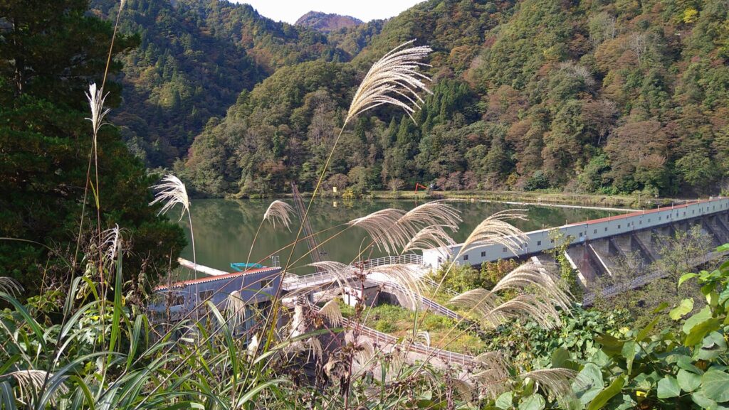 豊実ダムのダム湖