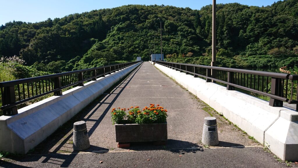 左岸から見たこまちダムの天端