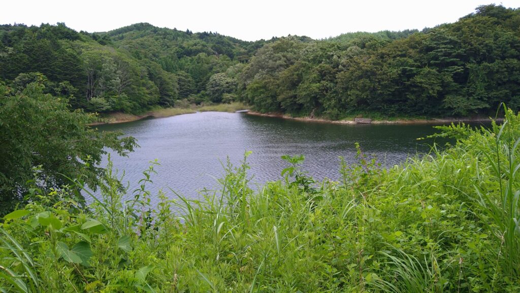 毛戸ダムのダム湖