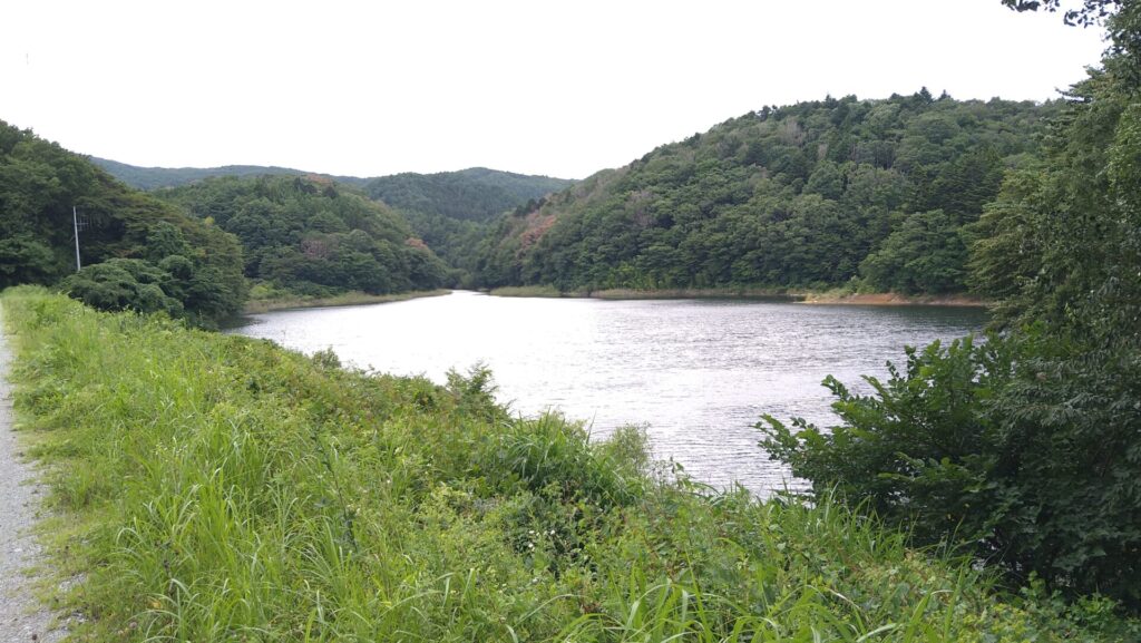 毛戸ダムのダム湖