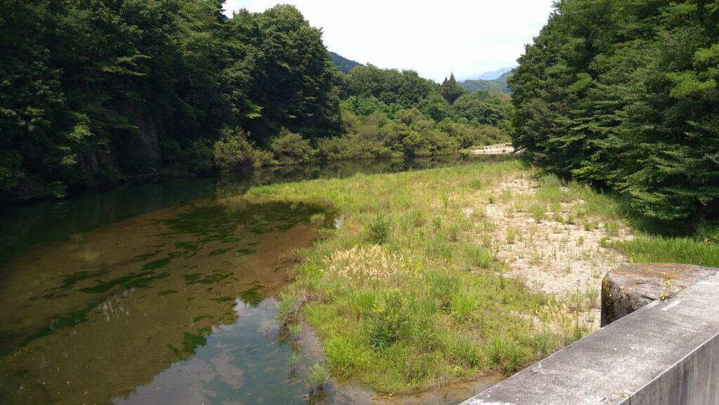 泙川ダムのダム湖の風景