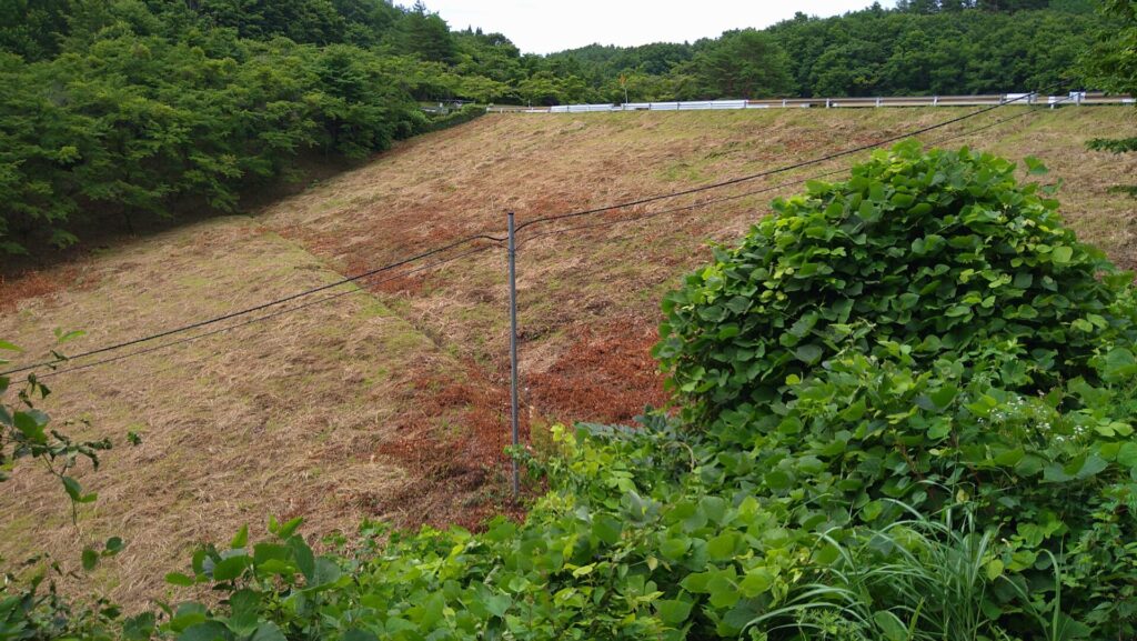 左岸から見た岩部ダム