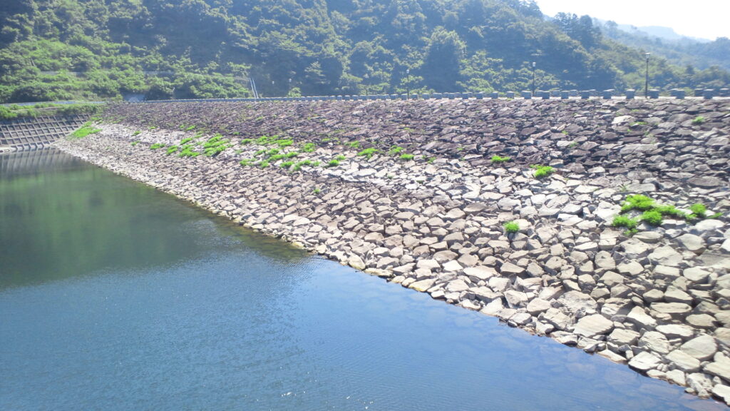 右岸から見た松ヶ房ダムの上流側