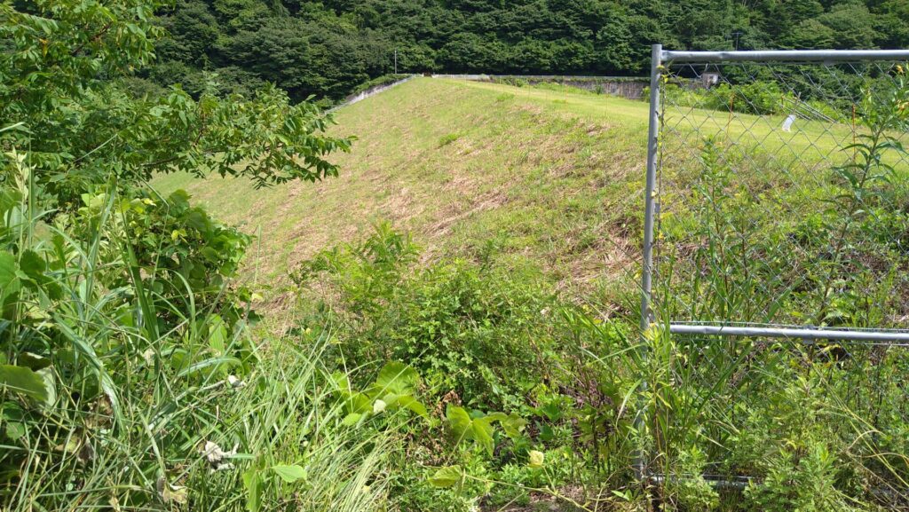 下流側から見た鉄山ダム