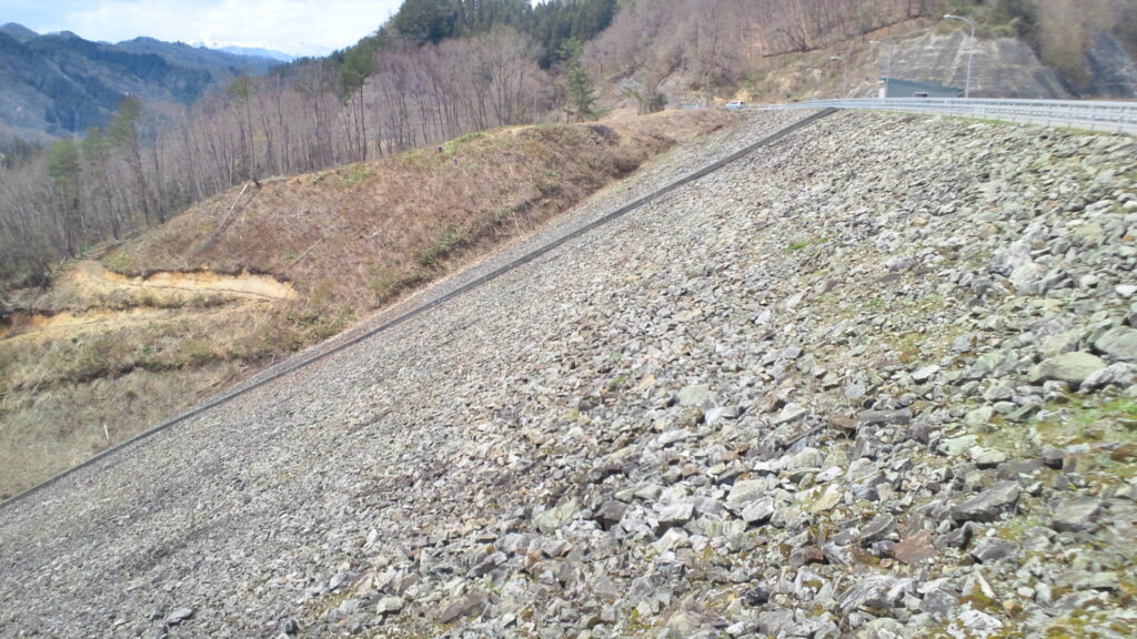 左岸から見た水窪ダム