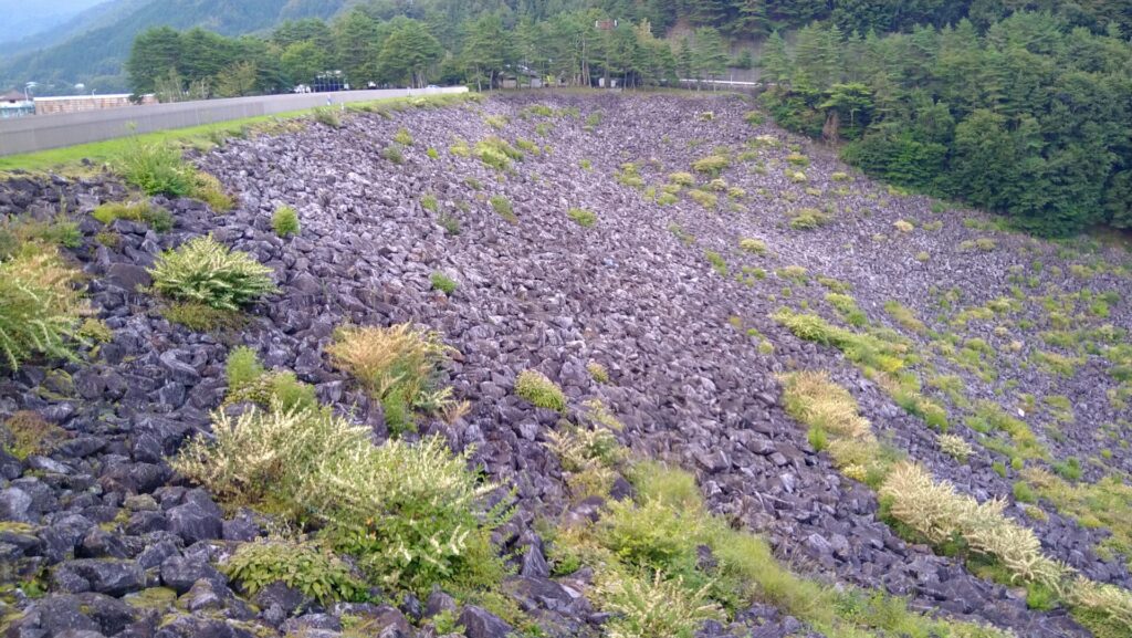 右岸から見た広瀬ダム