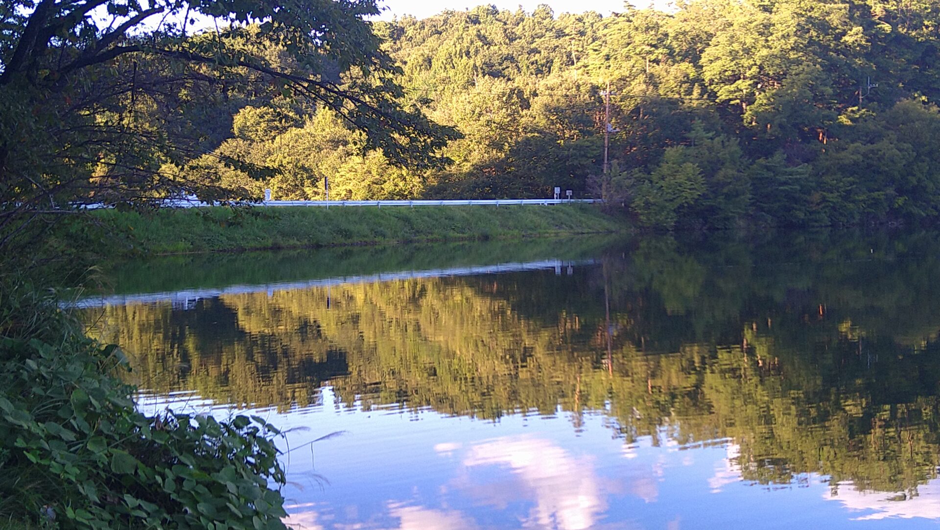 丸山溜池