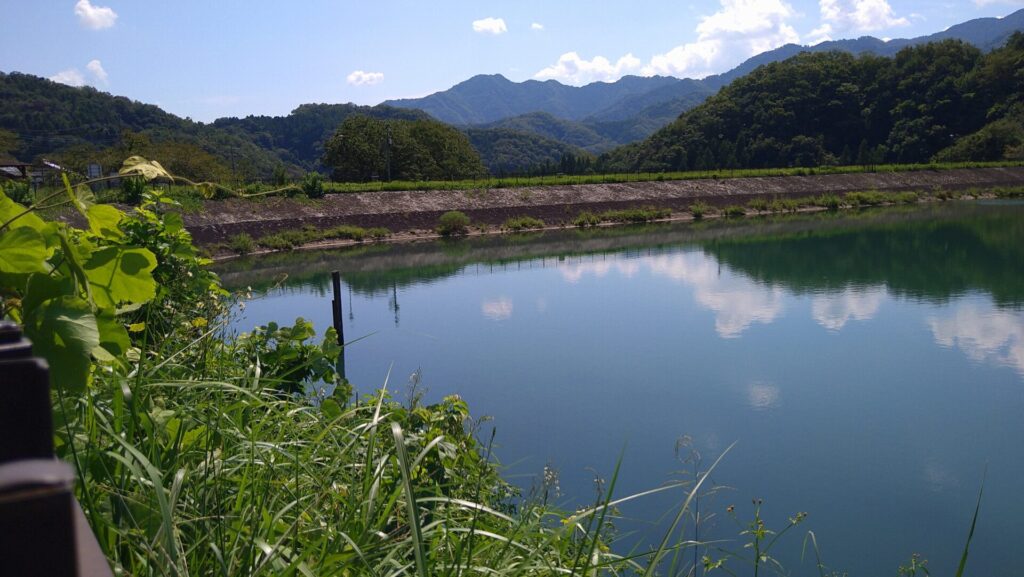 大野ダムの上流側