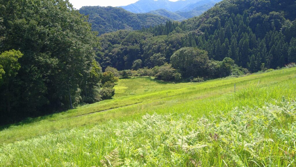 大野ダムの下流側