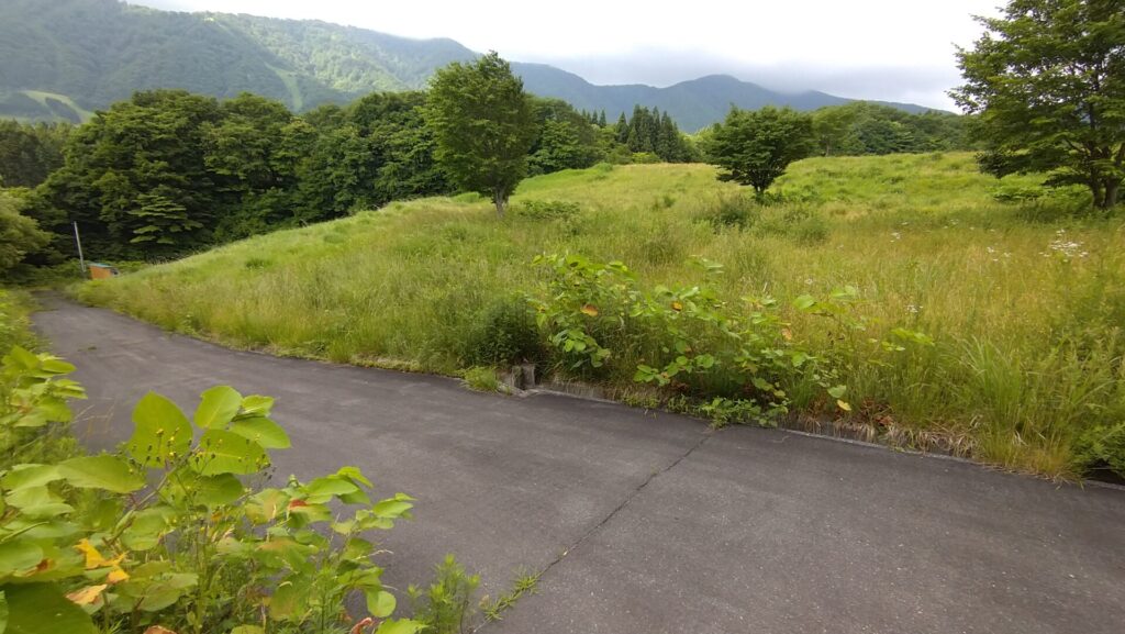 上大沢ダムの下流側