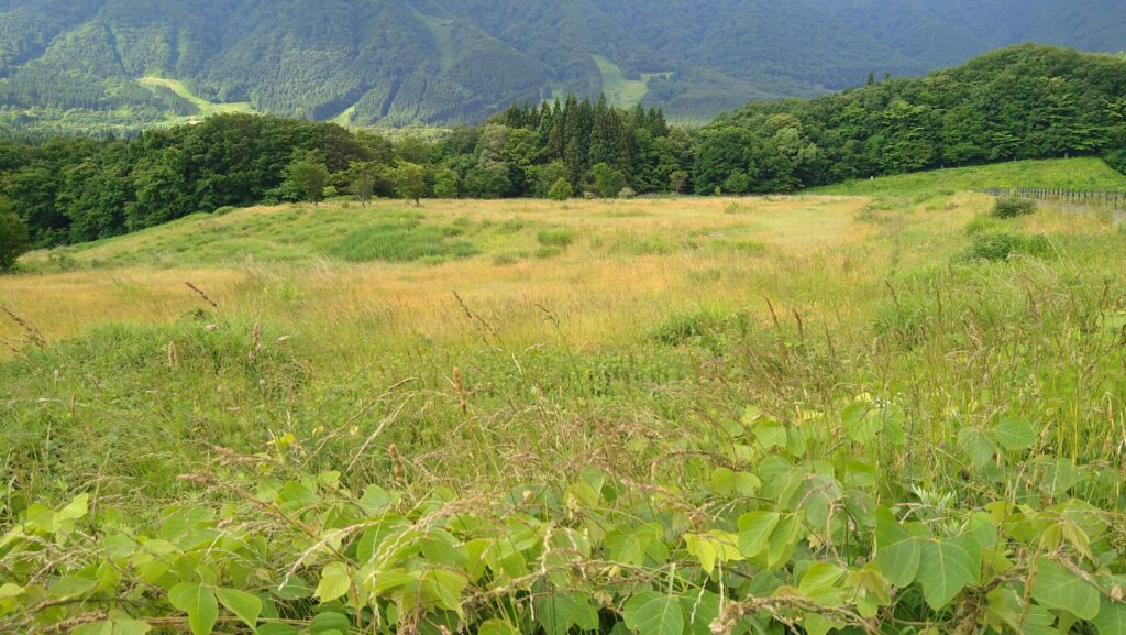 上大沢ダムのダム下