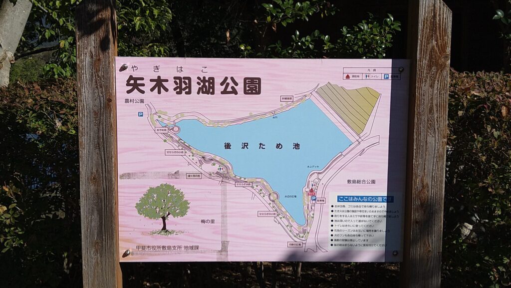 矢木羽湖の案内図