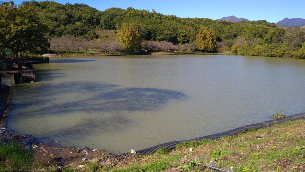 矢木羽湖の風景