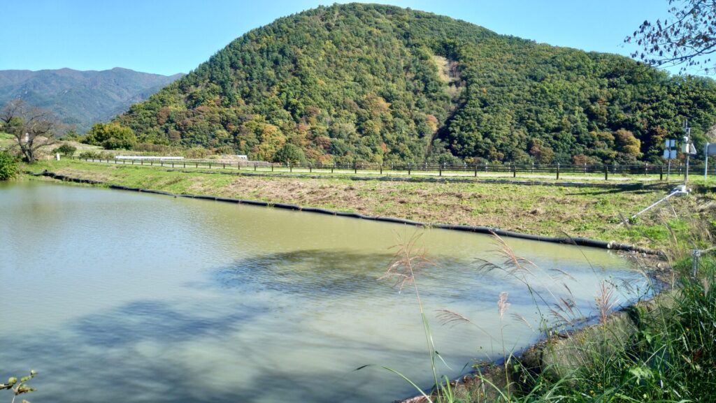 右岸の上流側から見た後沢溜池