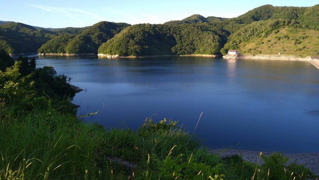 高台から見える山美湖