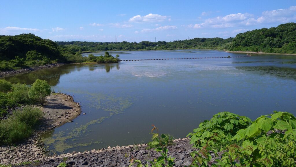 化女沼ダムのダム湖