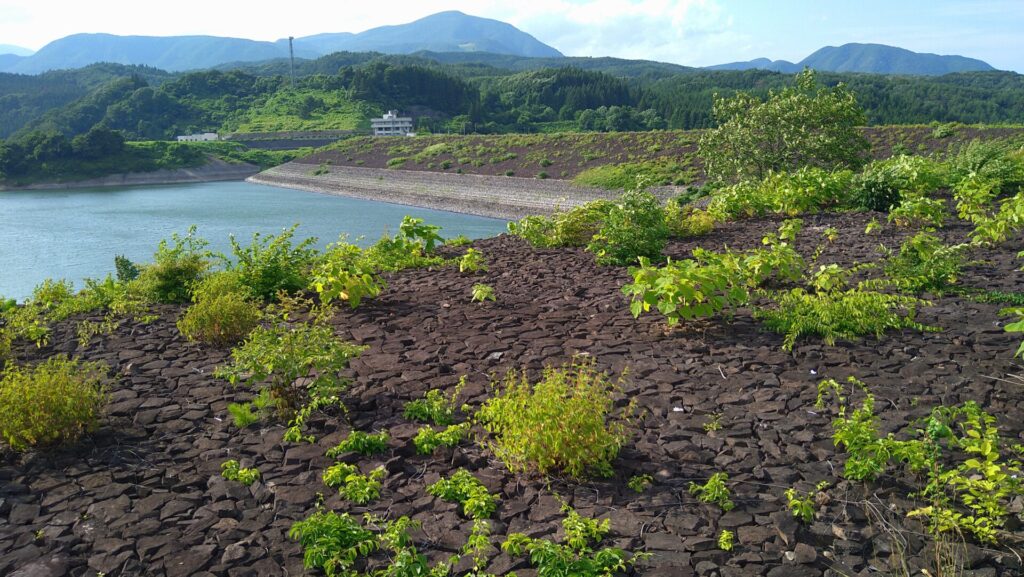 右岸から見た七北田ダム