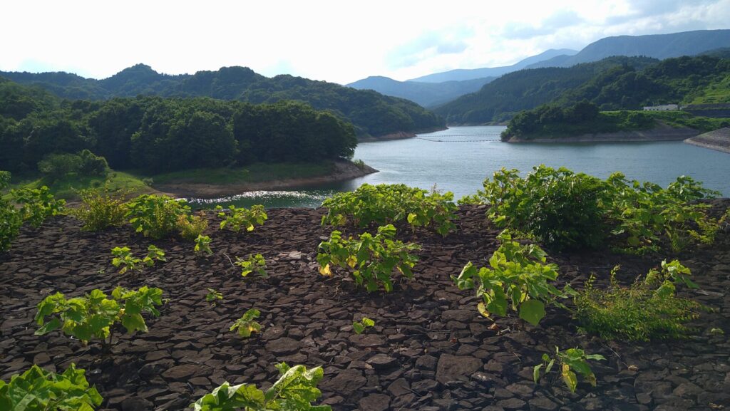 七北田ダム湖の風景