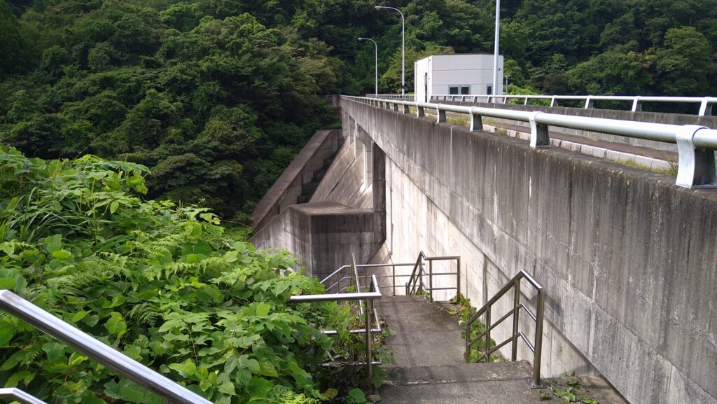 左岸から見た惣の関ダム