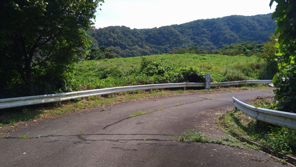 左岸からわずかに見える樽水ダム