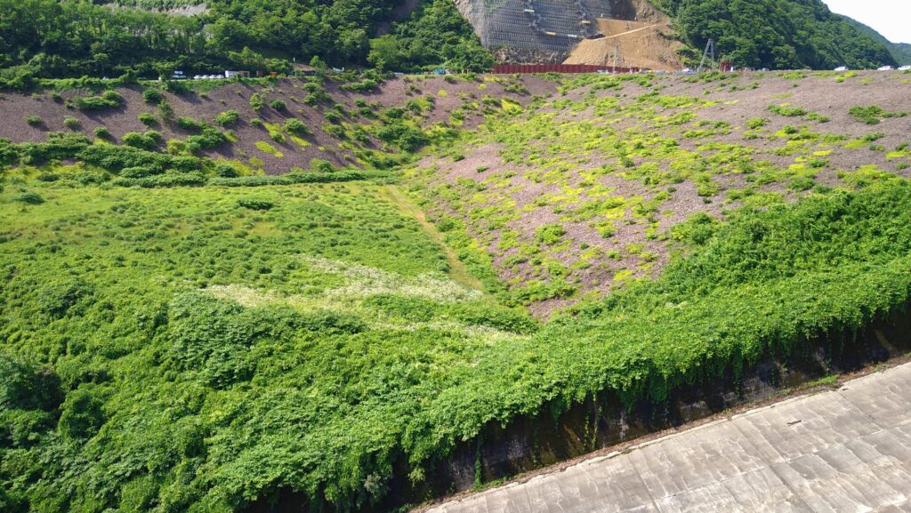 漆沢ダムの堤体