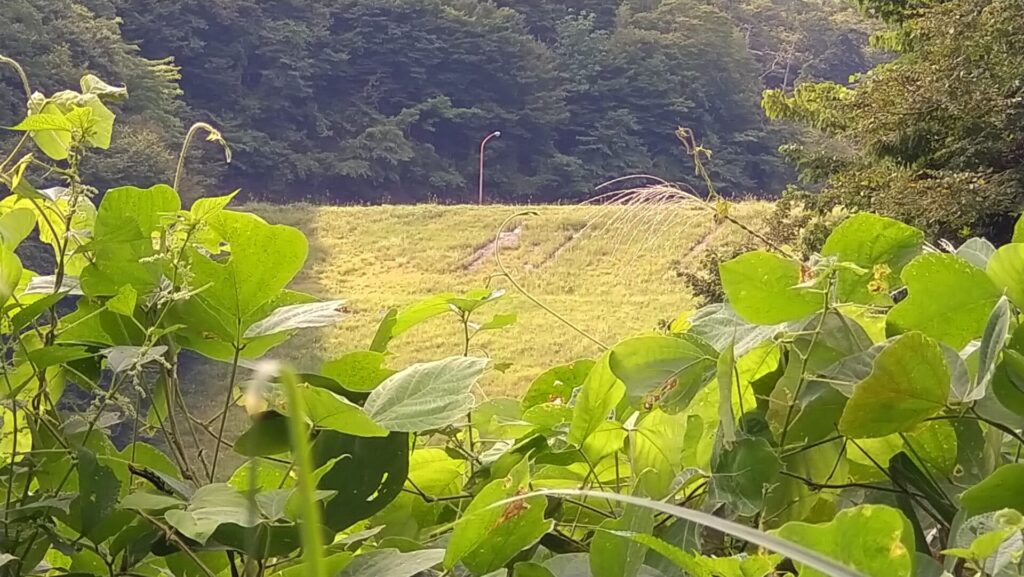 村田ダムの下流側