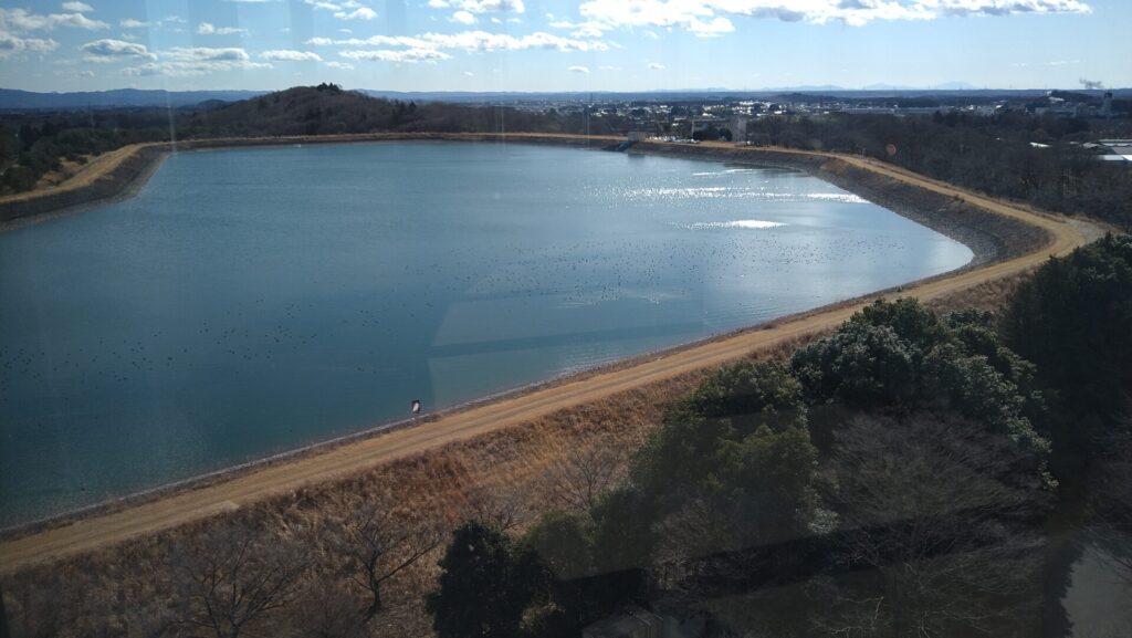 赤田調整池の風景