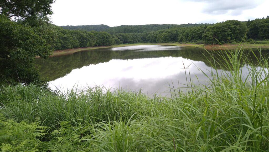 逆沢ため池のダム湖