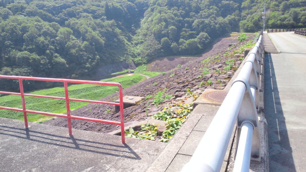 左岸付近から見た白川ダム