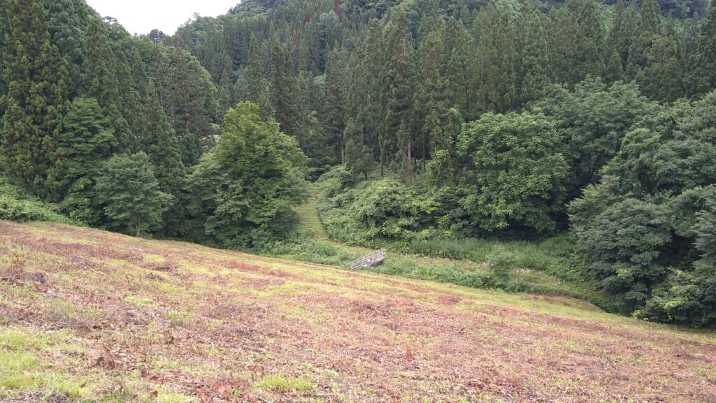 杉沢溜池のダム下