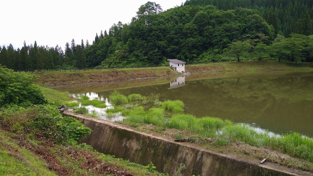 左岸の上流側から見た杉沢溜池