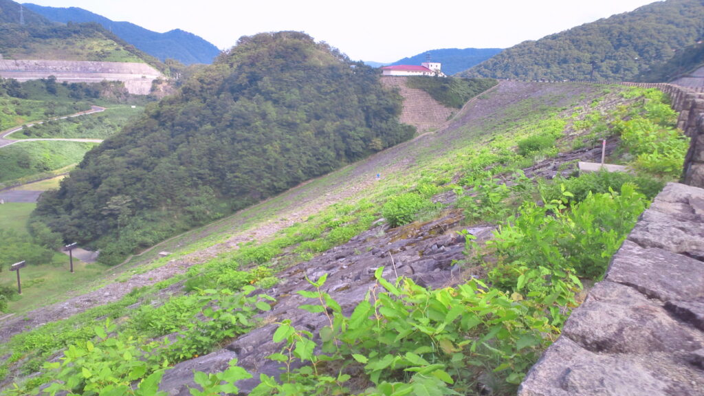 左岸から見た寒河江ダム