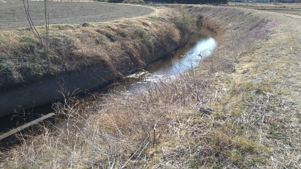 美田東部頭首工からつづく水路
