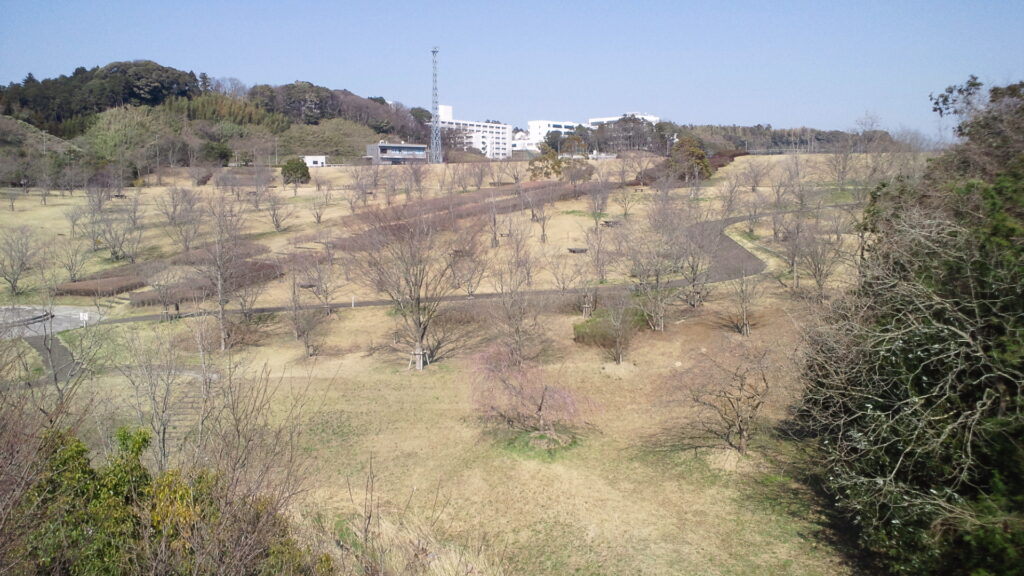 矢那川ダムのダム下の広場
