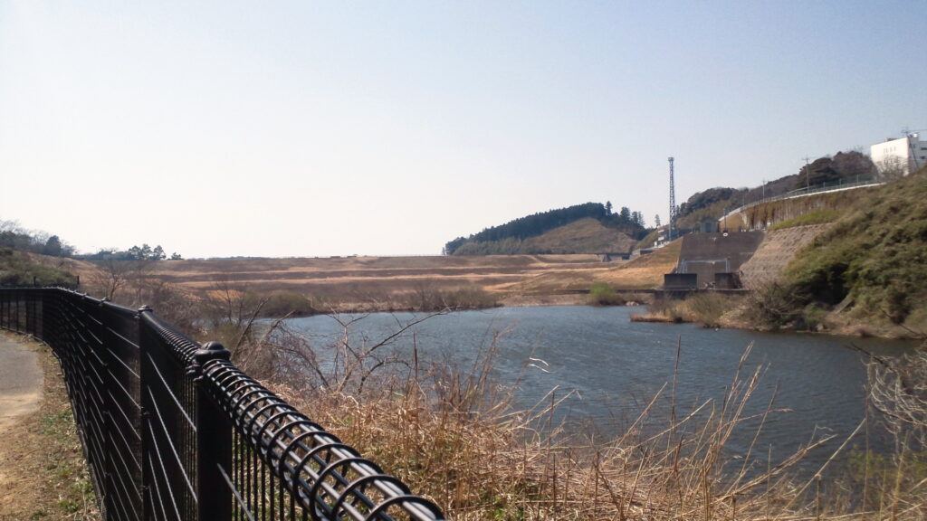 上流側から見た矢那川ダム