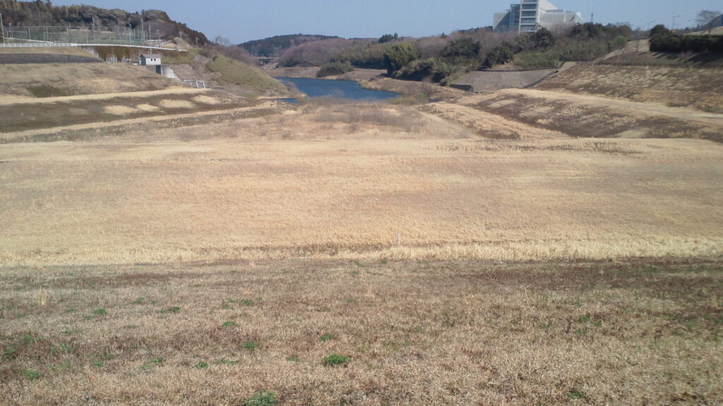 矢那川ダムのダム湖の風景